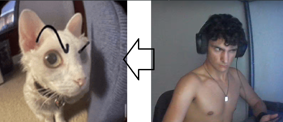 im54545445age.png