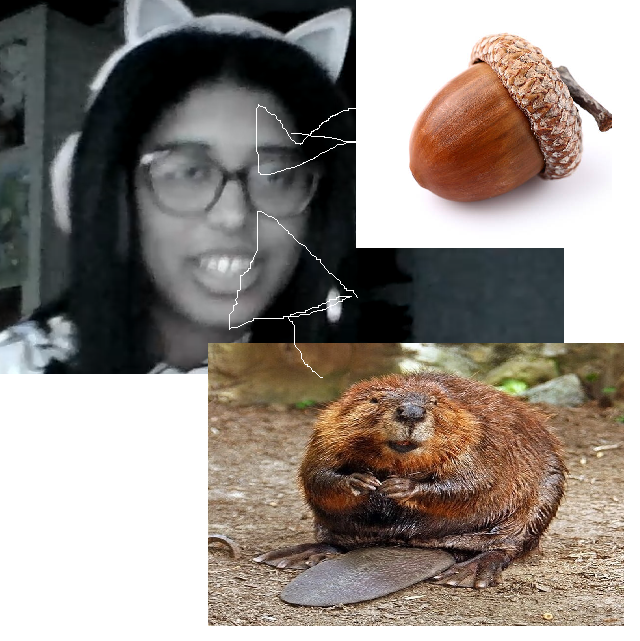 im6565465645564age.png