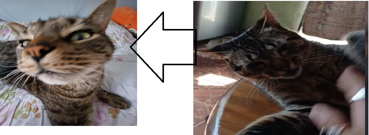 ima545435445ge.png